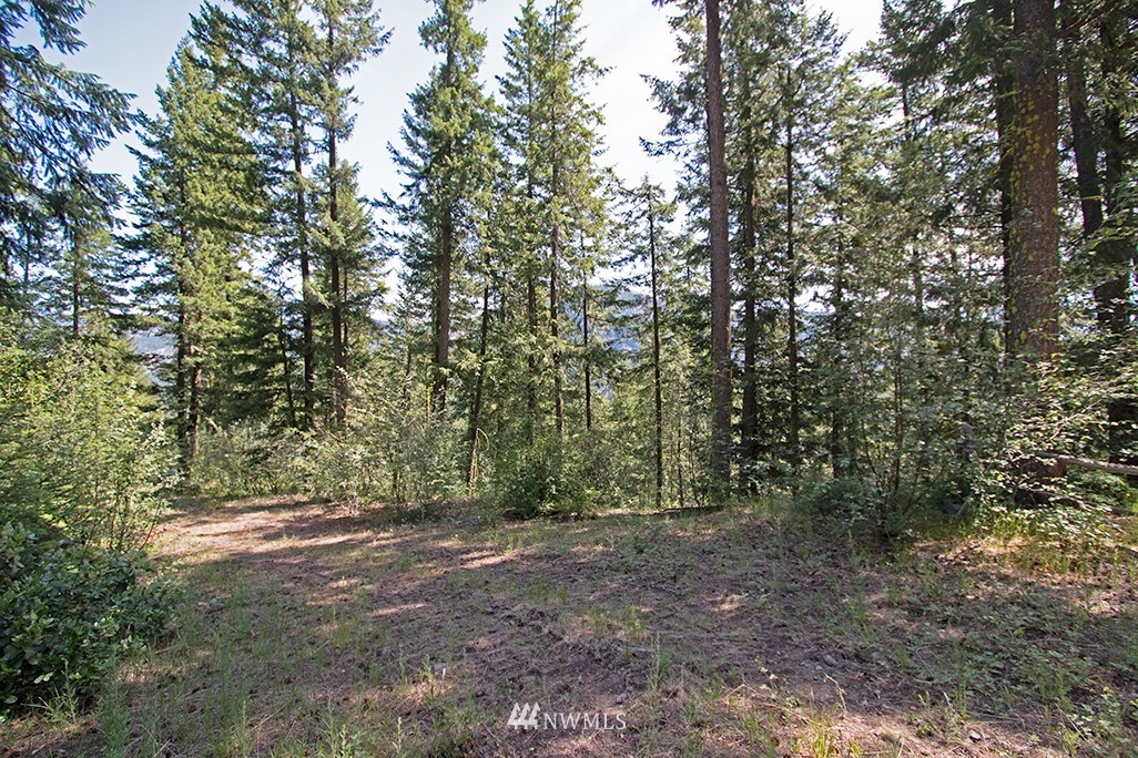 0 Tbd Mckinney Road Winthrop, WA 98862 - Photo 21 of 22 Gallery Image 21