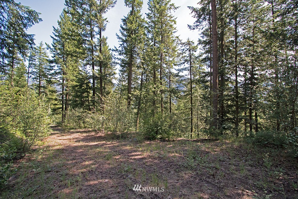 0 Tbd Mckinney Road Winthrop, WA 98862 - Photo 22 of 22 Gallery Image 22