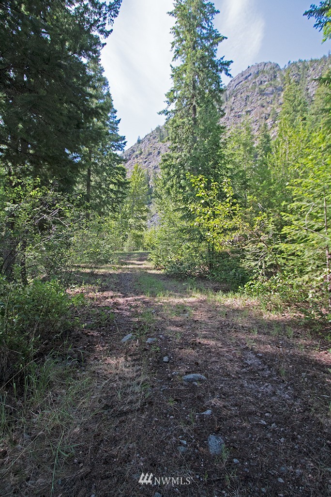 0 Tbd Mckinney Road Winthrop, WA 98862 - Photo 5 of 22 Gallery Image 5