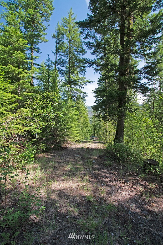 0 Tbd Mckinney Road Winthrop, WA 98862 - Photo 6 of 22 Gallery Image 6