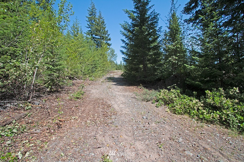 0 Tbd Mckinney Road Winthrop, WA 98862 - Photo 10 of 22 Gallery Image 10