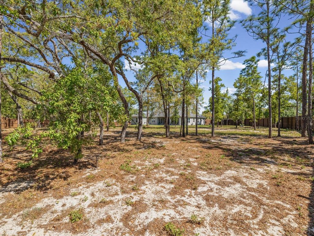 11981 Robina Road Weeki Wachee, FL 34614 - Photo 59 of 93 a view of backyard with tree and wooden fence