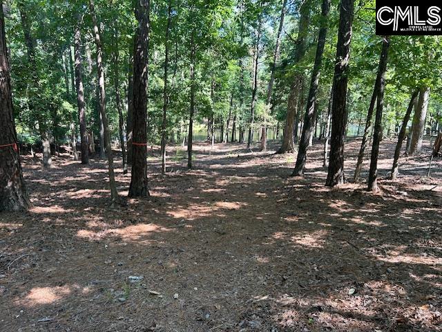 110 John Long Road Gilbert, SC 29054 - Photo 2 of 4