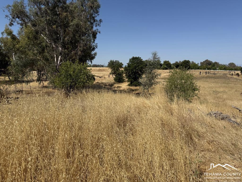4471 Kopta Road Corning, CA 96021 - Photo 11 of 15