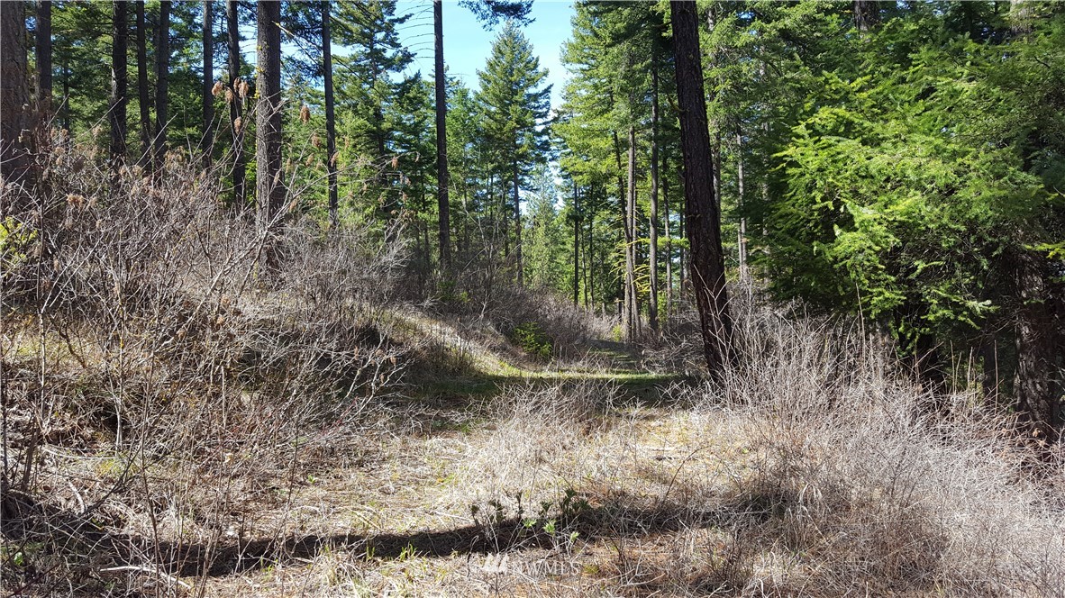 540 Elk Run Road Cle Elum, WA 98922 - Photo 3 of 25 Gallery Image 3