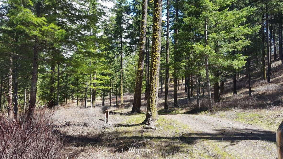 540 Elk Run Road Cle Elum, WA 98922 - Photo 5 of 25 Gallery Image 5