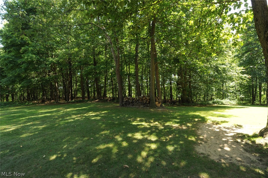 11750 Walker Road Minerva, OH 44657 - Photo 27 of 33 Gallery Image 27