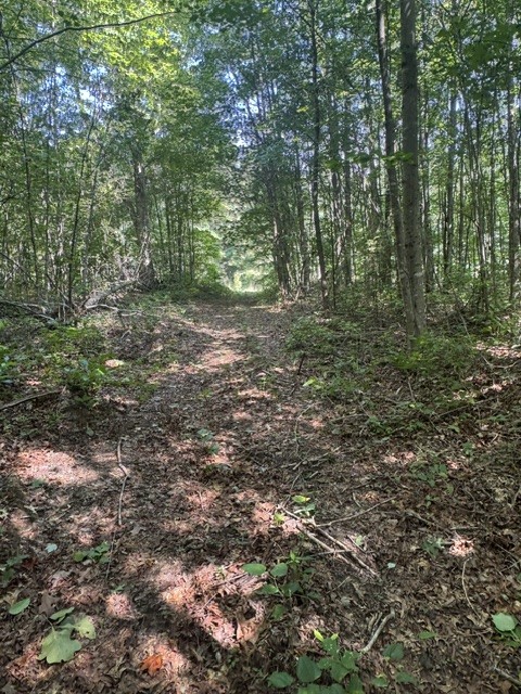0 Parkstown Road Wilder, TN 38589 - Photo 14 of 18 Gallery Image 14