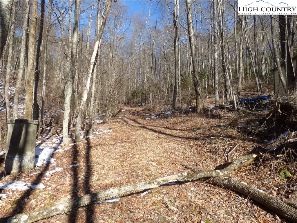 James F Watson Road West Jefferson, NC 28694 - Photo 1 of 9 Gallery Image 1