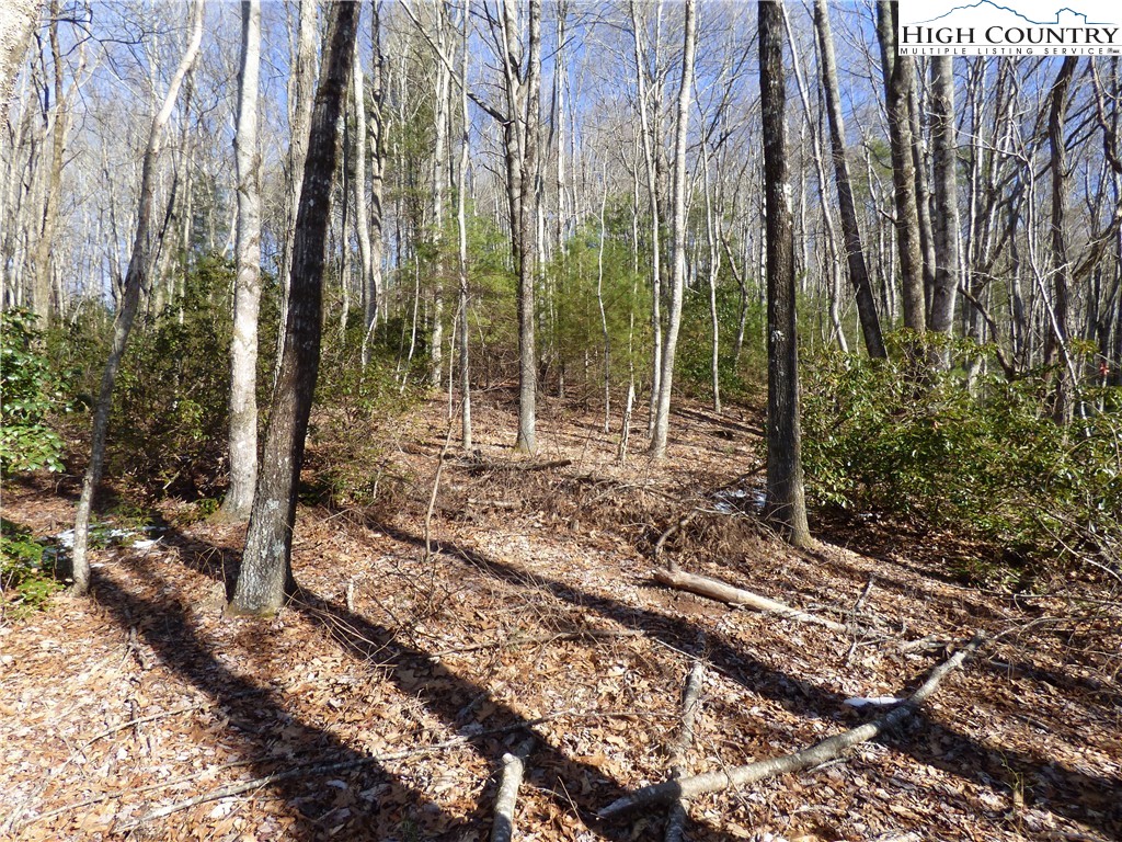 James F Watson Road West Jefferson, NC 28694 - Photo 4 of 9 Gallery Image 4
