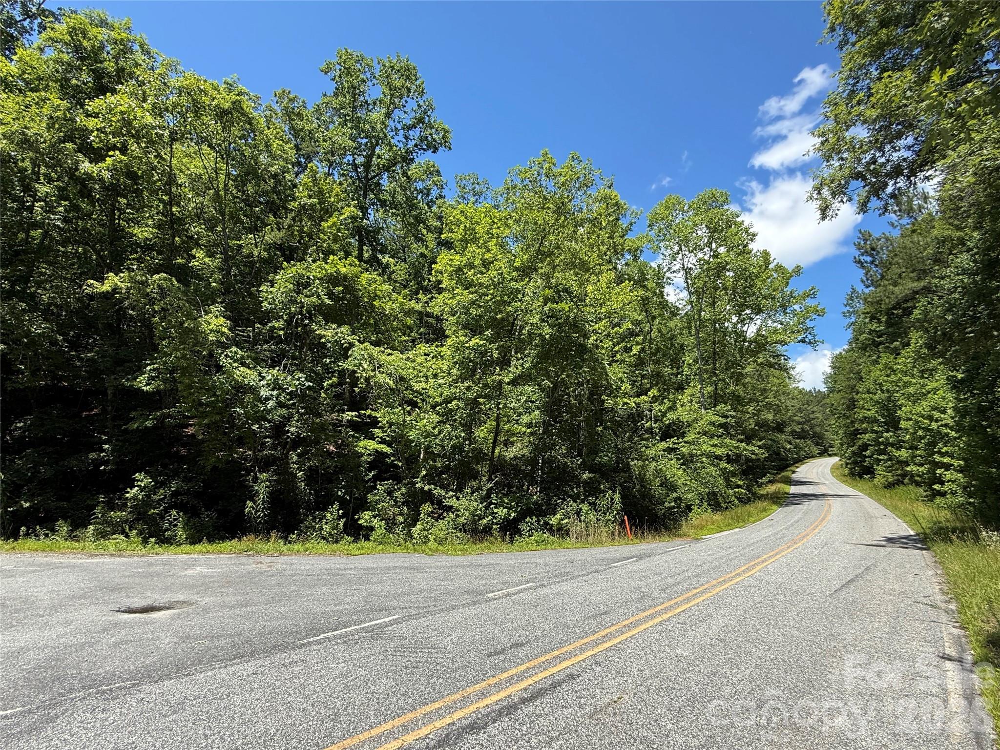 99999 Thompson Lake Road Rutherfordton, NC 28139 - Photo 17 of 24
