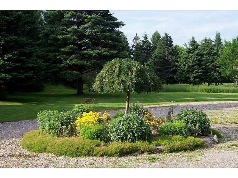 943 W Road New Sweden, ME 04762 - Photo 13 of 31 Yard/Garden.