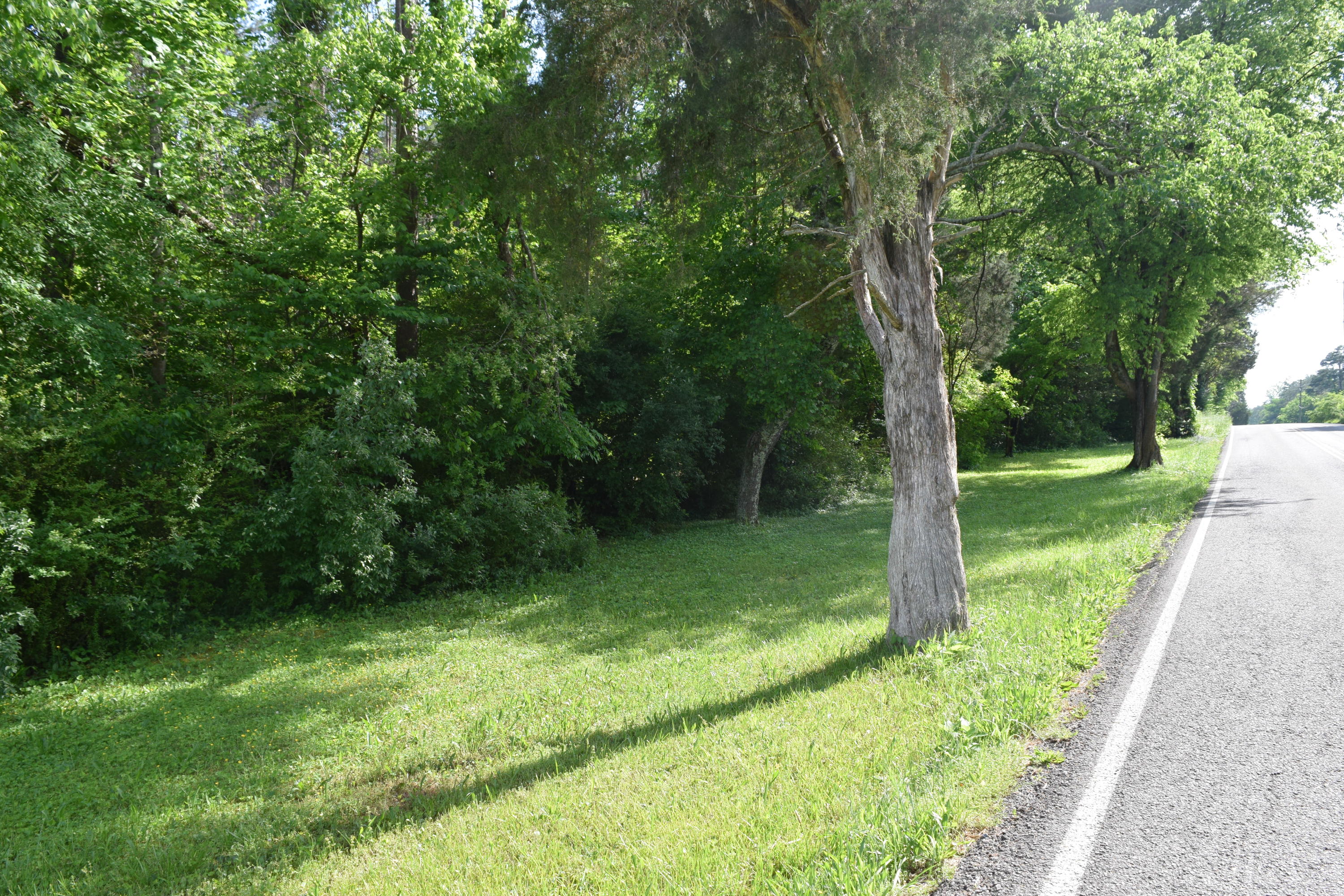 Hopewell Road Knoxville, TN 37920 - Photo 1 of 13 DSC_0013 - Copy