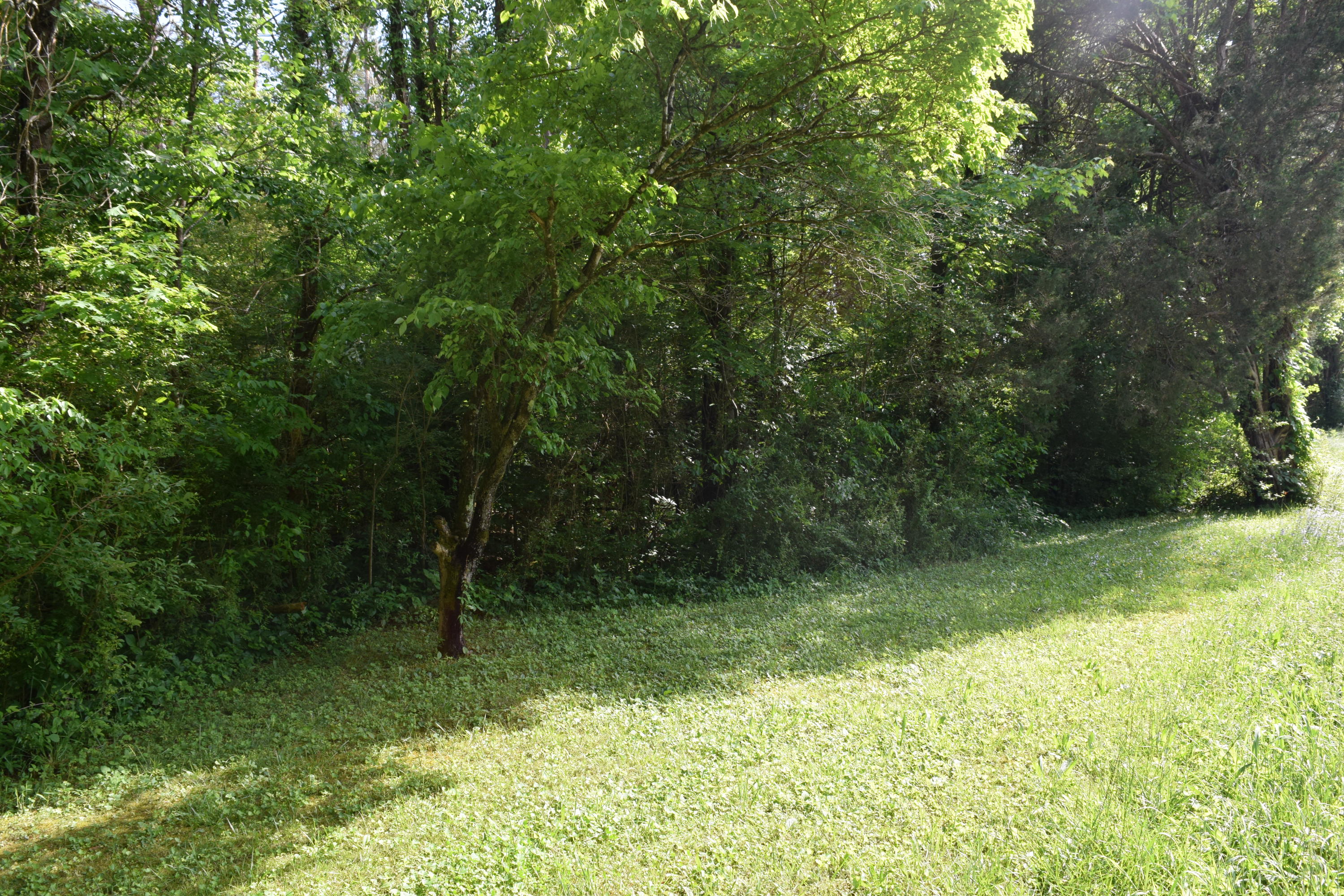 Hopewell Road Knoxville, TN 37920 - Photo 2 of 13 DSC_0014