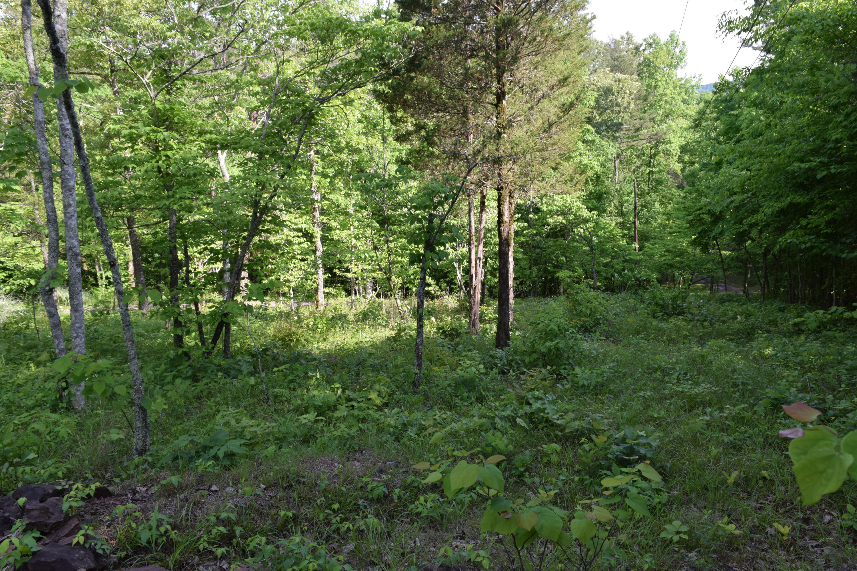 Hopewell Road Knoxville, TN 37920 - Photo 11 of 13 DSC_0023