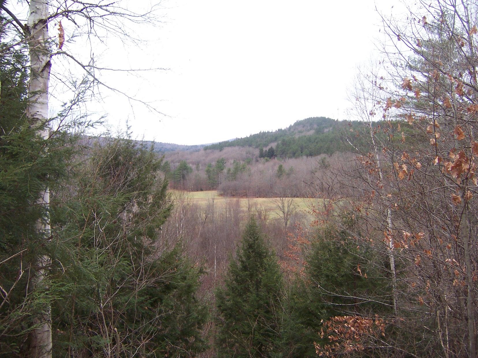 2425 Buffalo Road, Unit B Rumney, NH 03266 - Photo 12 of 16