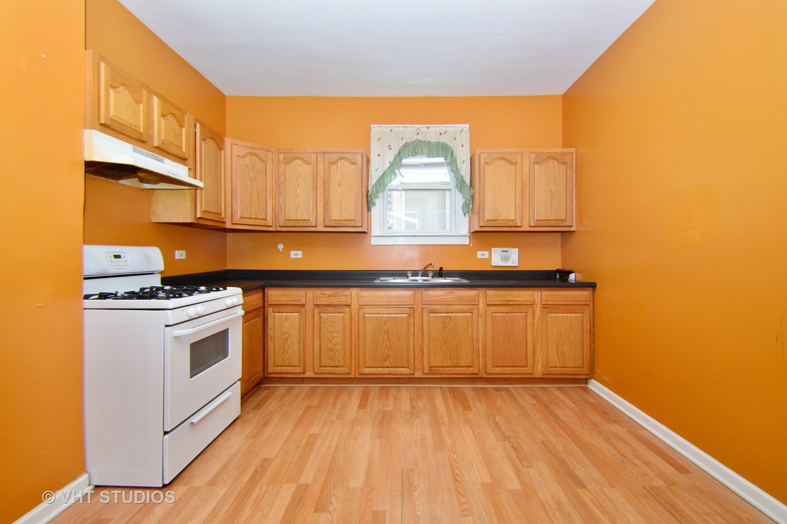 6332 South Kolin Avenue Chicago, IL 60629 - Photo 4 of 10