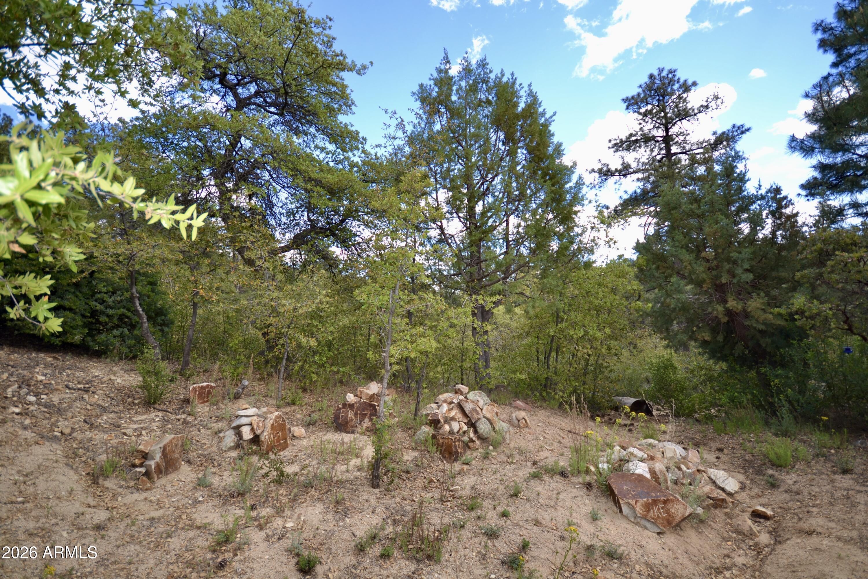 23617 South Demascus Road Crown King, AZ 86343 - Photo 44 of 50 a view of a forest filled with trees