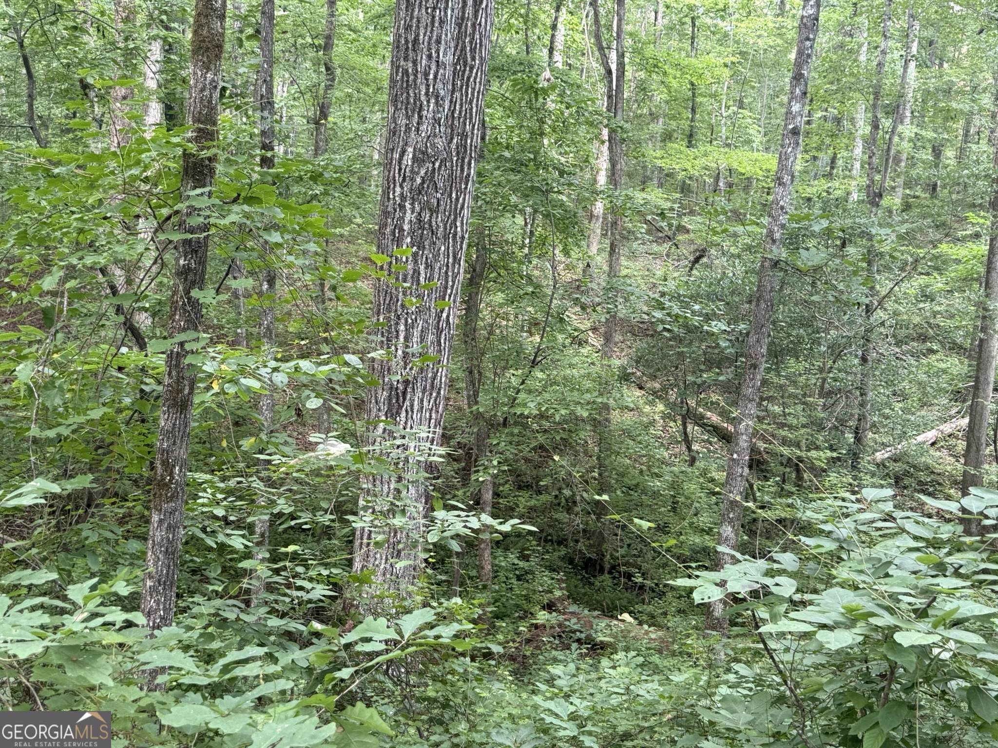 0 Cartbody Road Carrollton, GA 30116 - Photo 18 of 24