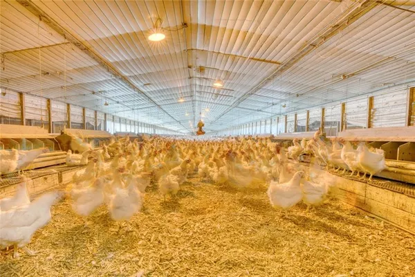 $2,999,999 | 441 Weaver Road, Moultrie, GA 31768