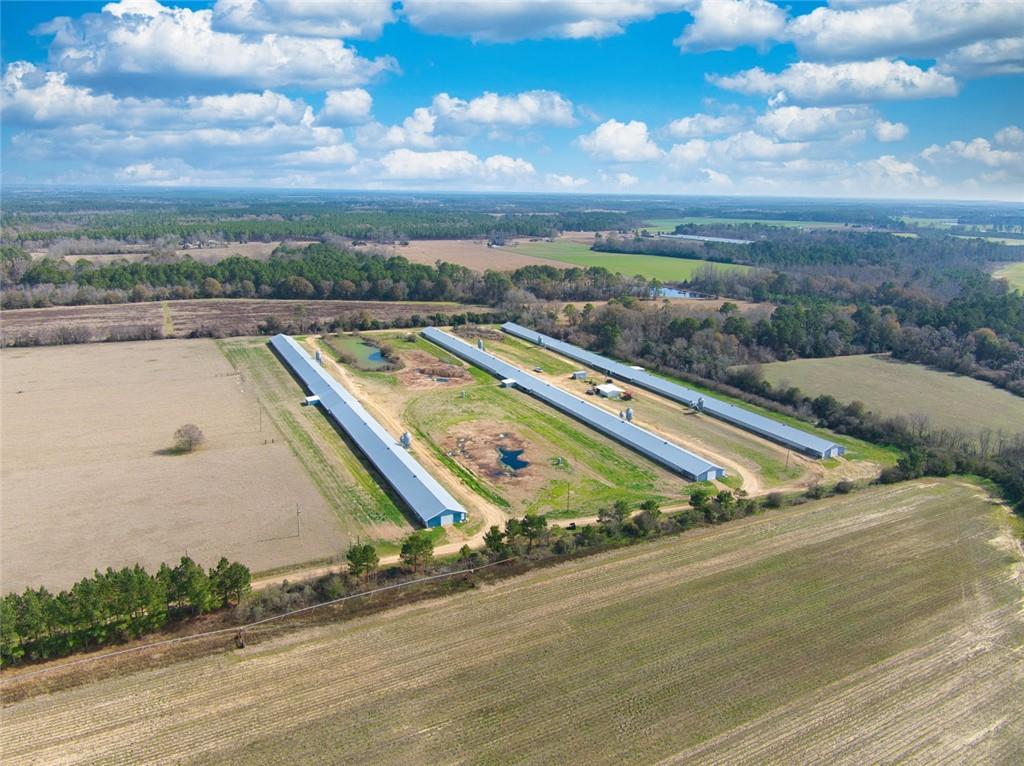 441 Weaver Road Moultrie, GA 31768 - Photo 29 of 48