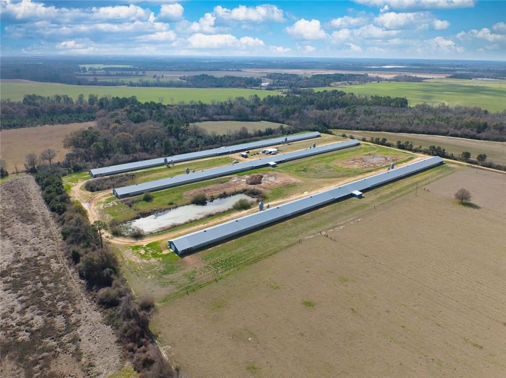 441 Weaver Road Moultrie, GA 31768 - Photo 33 of 48 a view of swimming pool with a terrace