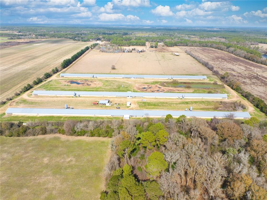 441 Weaver Road Moultrie, GA 31768 - Photo 36 of 48