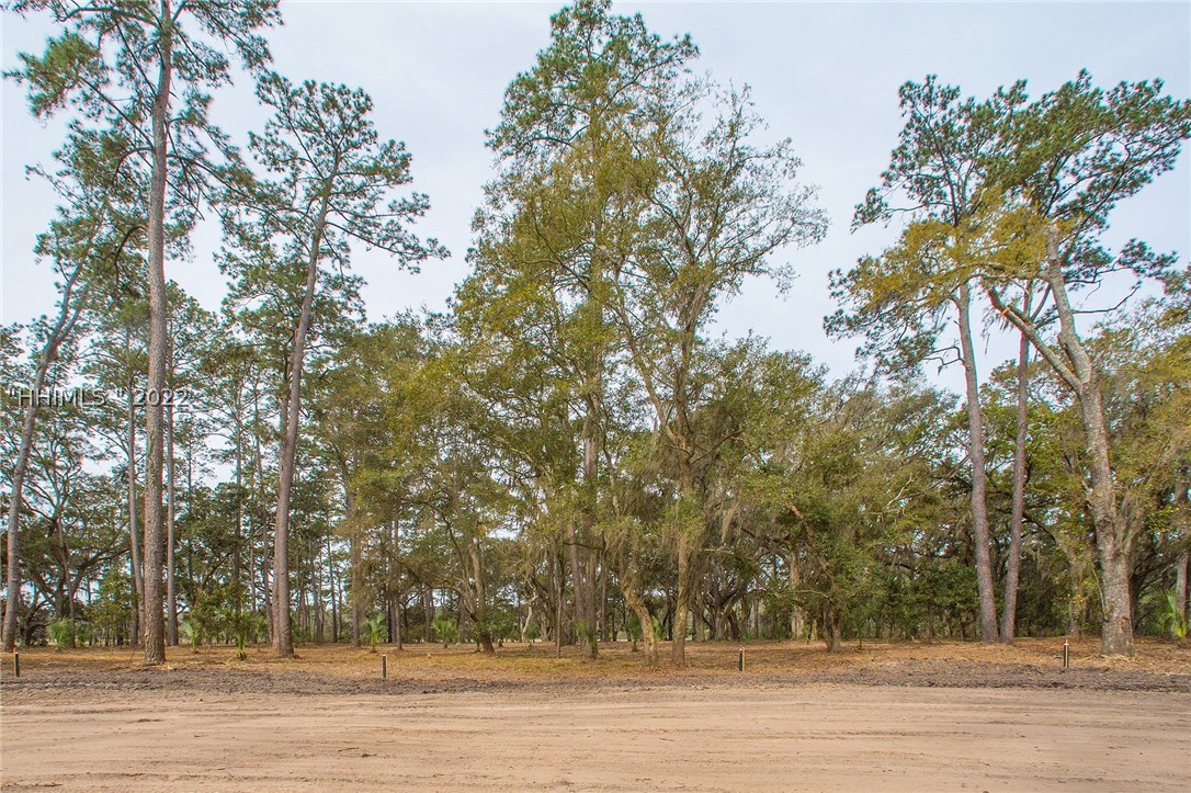 19 Wintercress Road Bluffton, SC 29910 - Photo 1 of 1 Gallery Image 1
