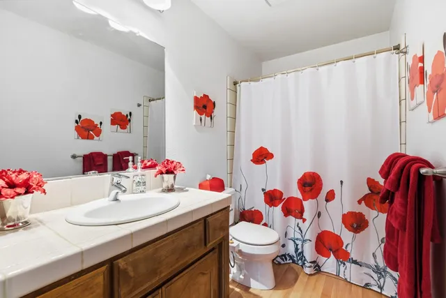 a bathroom with a sink toilet and a shower
