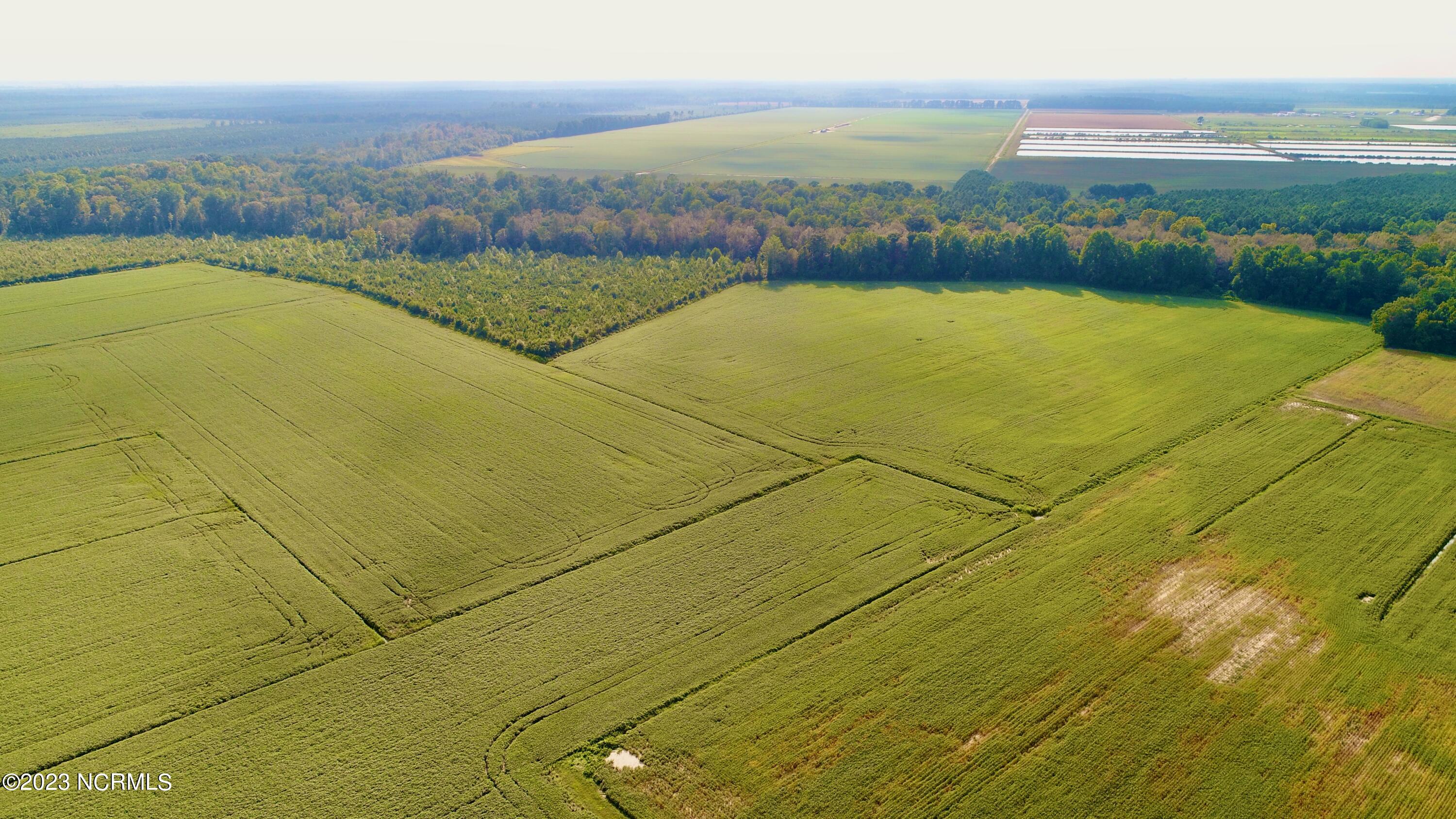 2334 West Millpond Road Roper, NC 27970 - Photo 8 of 52 DJI_0671