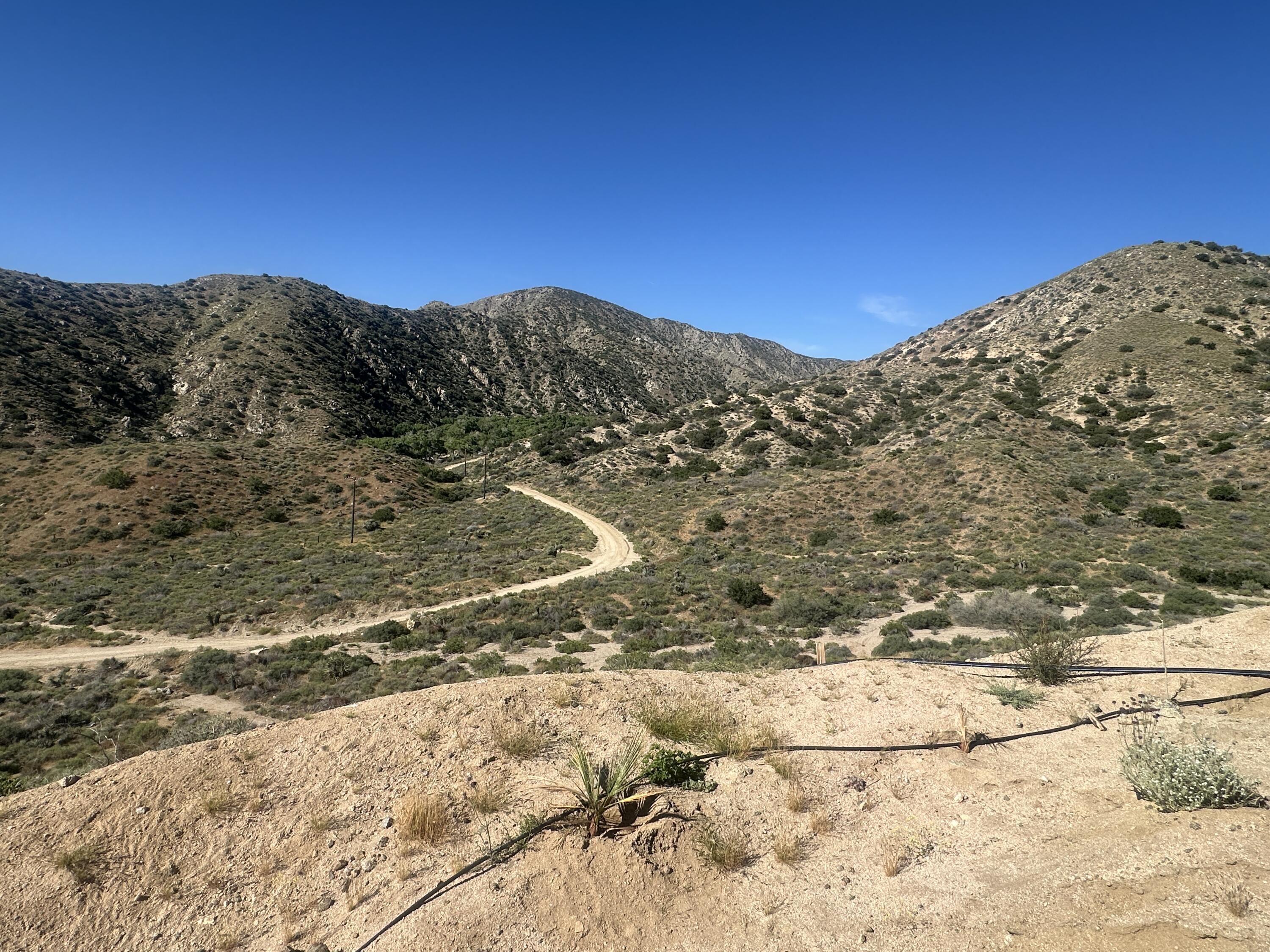 48980 Big Morongo Canyon Road Morongo Valley, CA 92256 - Photo 5 of 11 a view of mountains