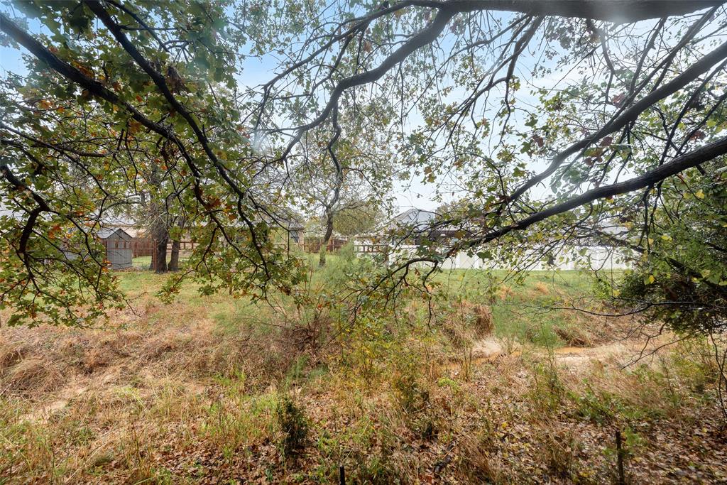 617 Madeline Court Azle, TX 76020 - Photo 19 of 20 View of undeveloped land