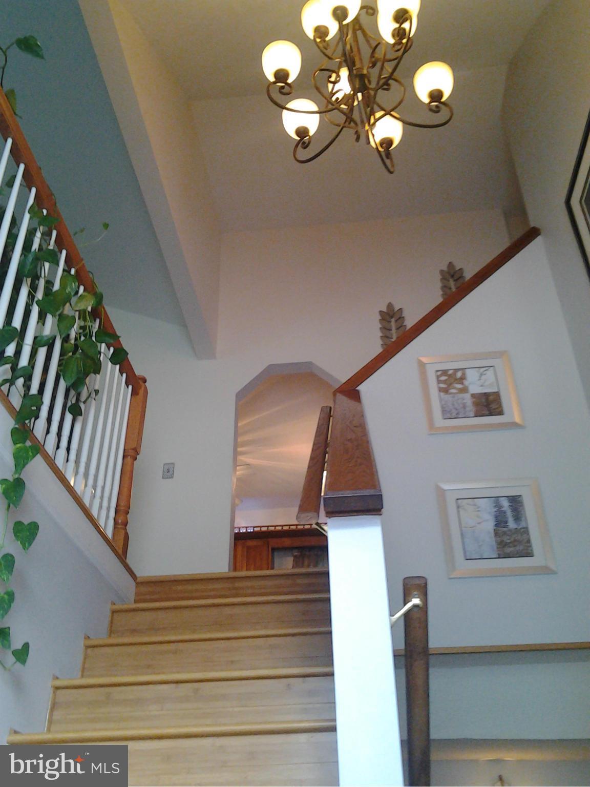 6709 Burch Hill Road Brandywine, MD 20613 - Photo 4 of 25 2 Story Foyer