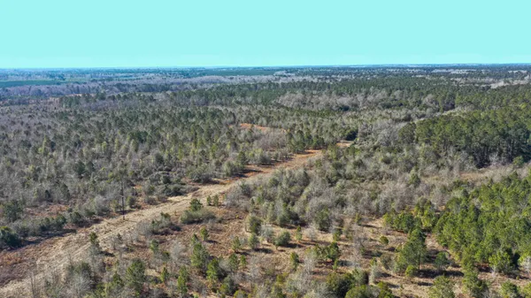 $665,000 | 0 Hwy 78 Williston Sc 29853, Williston, SC 29853