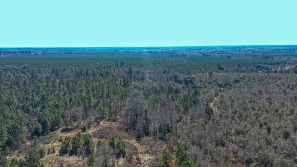 $665,000 | 0 Hwy 78 Williston Sc 29853, Williston, SC 29853
