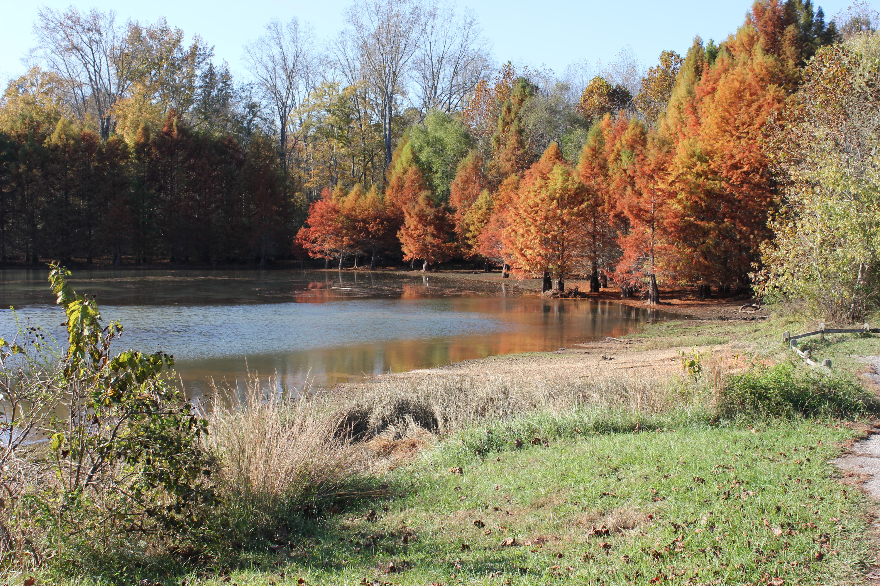 8737 Lackey Road Harrison, TN 37341 - Photo 29 of 29 IMG_0391