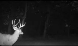 $487,500 | 37156 State Hwy Highway North, Barnard, MO 64423