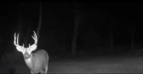 $487,500 | 37156 State Hwy Highway North, Barnard, MO 64423