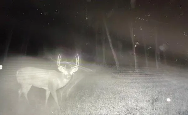 $487,500 | 37156 State Hwy Highway North, Barnard, MO 64423