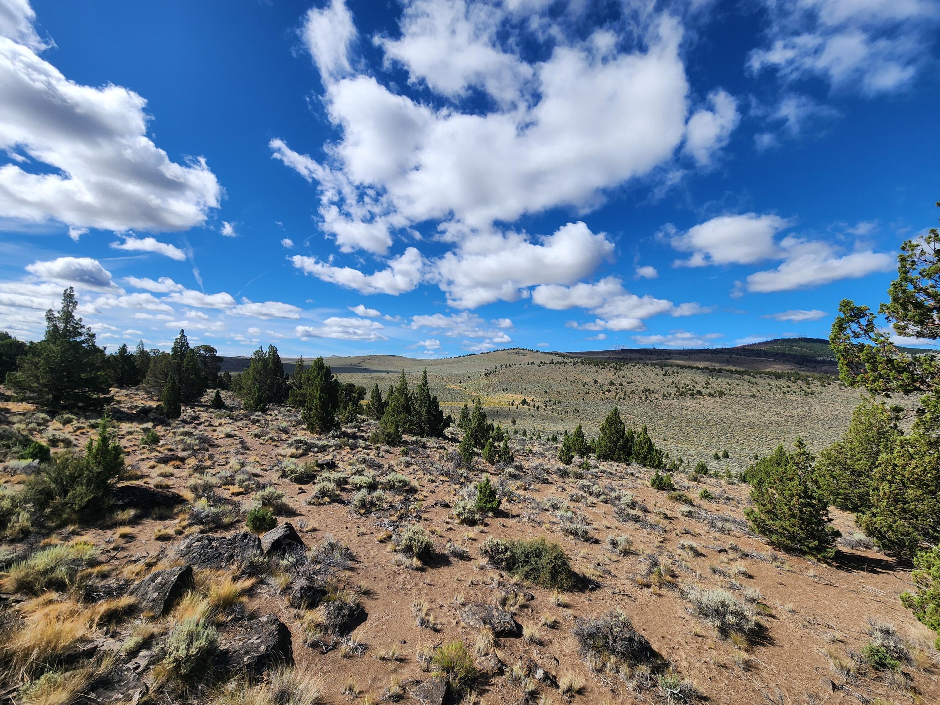 Fox Butte Road Bend, OR 97701 - Photo 5 of 27 20250807_100435