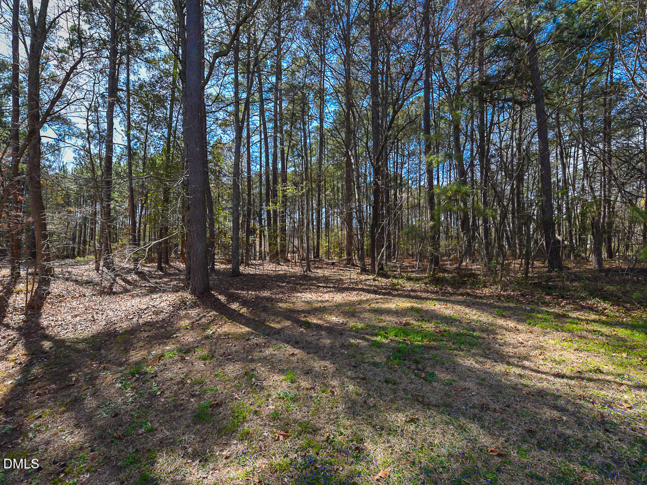 4304 Amherst Street Garner, NC 27529 - Photo 31 of 32 Exterior - yard - OK
