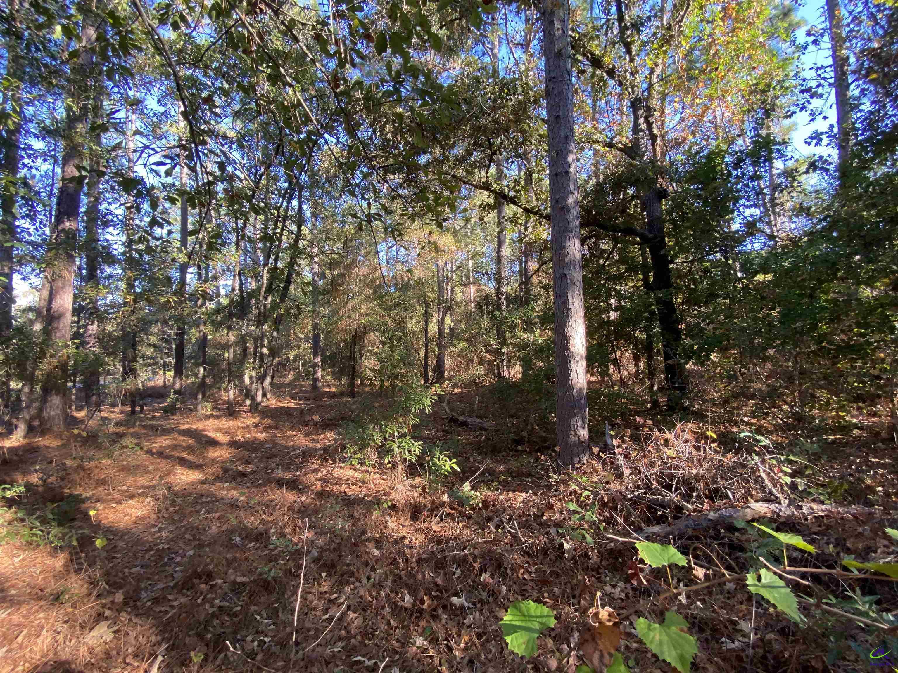 14-17 Mac Thompson Road Cochran, GA 31014 - Photo 24 of 26