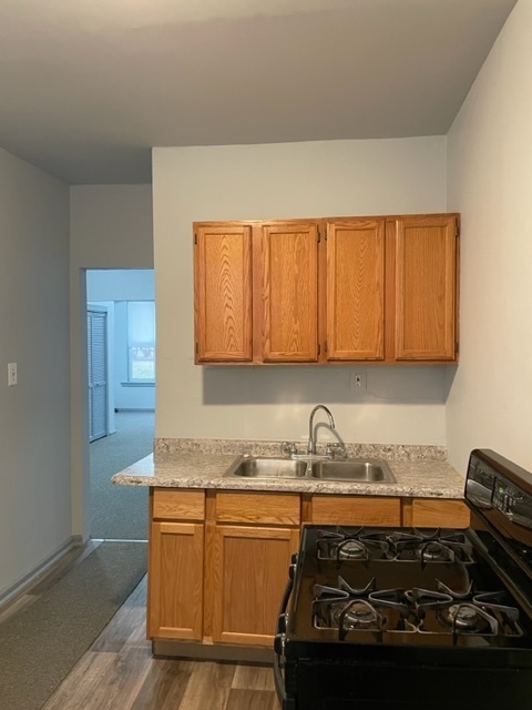 1237 West Marquette Road, Unit 1W Chicago, IL 60636 - Photo 3 of 9 a kitchen with wooden cabinets and a stove top oven