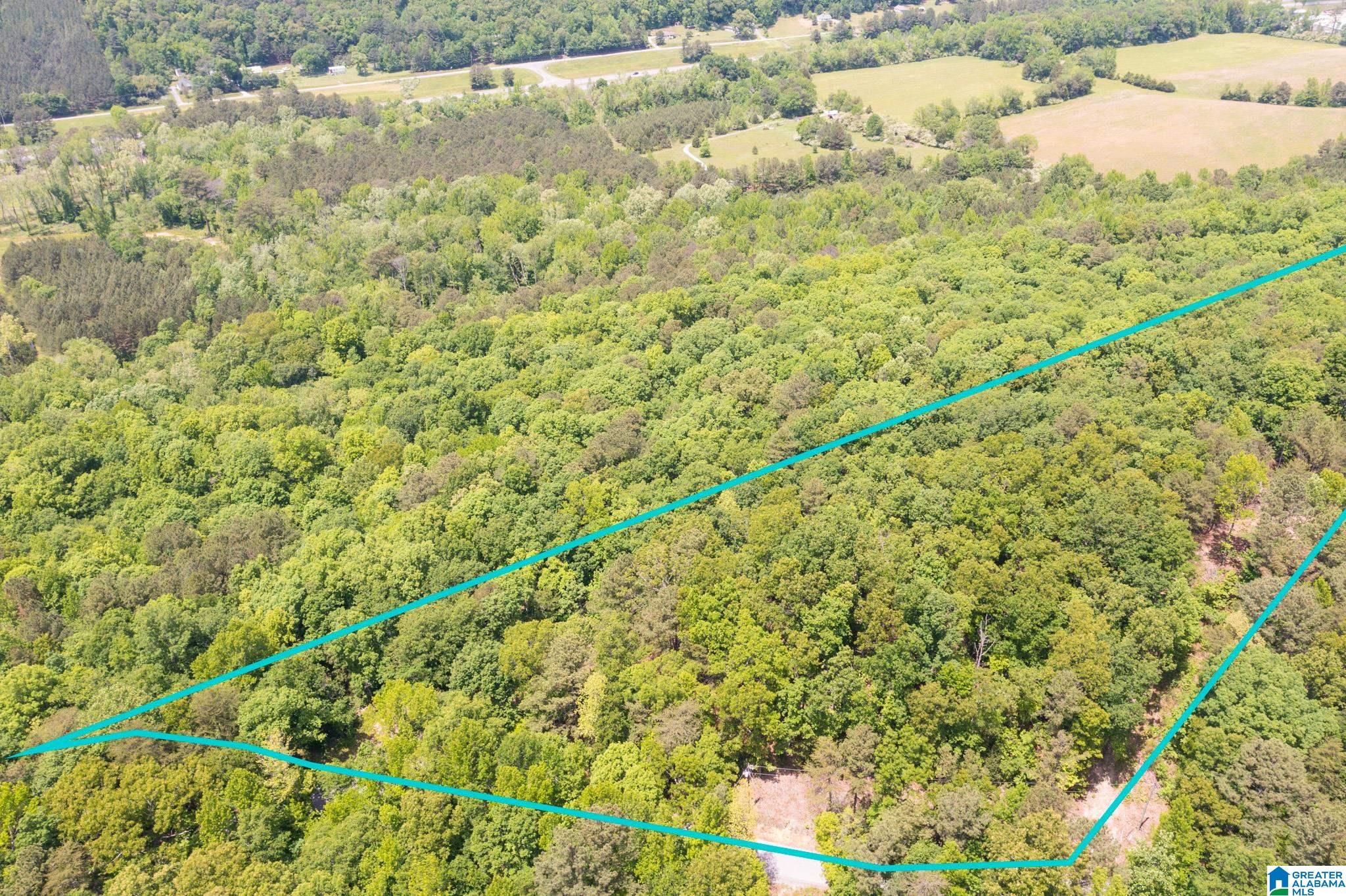 0 Beaver Creek Road Remlap, AL 35133 - Photo 3 of 8 Gallery Image 3