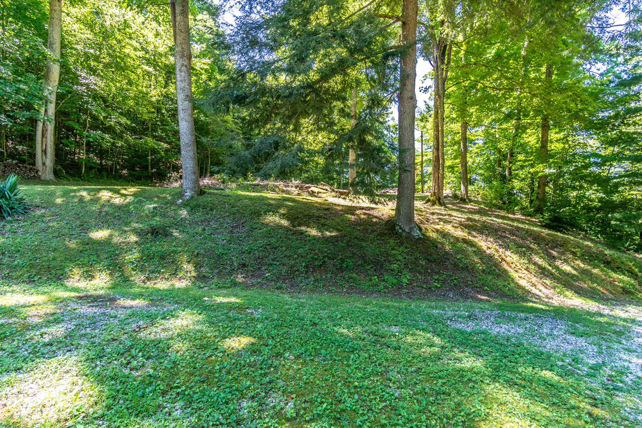 11129 Highway 1036 Road Irvine, KY 40336 - Photo 24 of 45 124