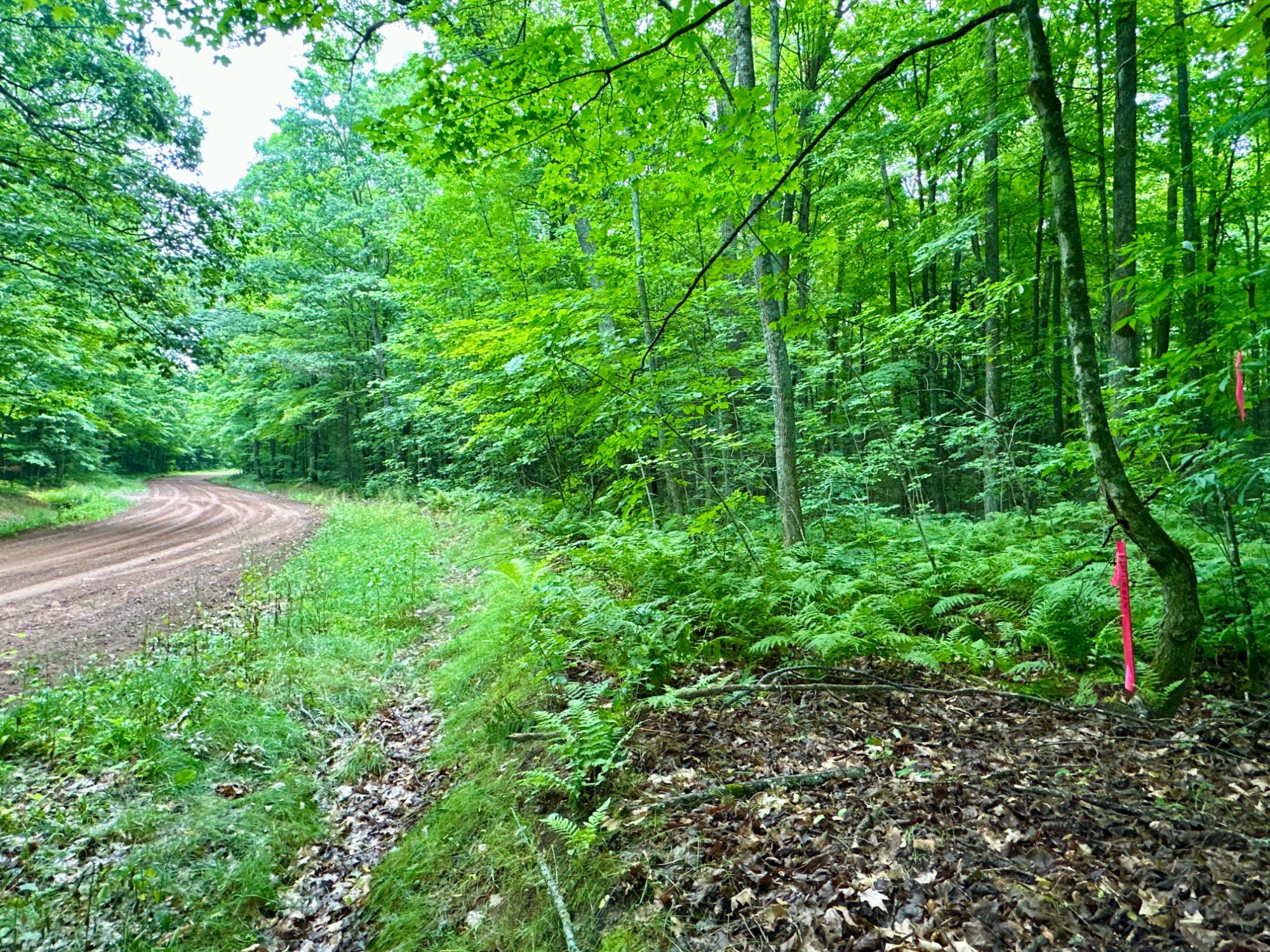 Lot 4 Crane Foot Lake Road Gleason, WI 54435 - Photo 5 of 10 Gallery Image 5