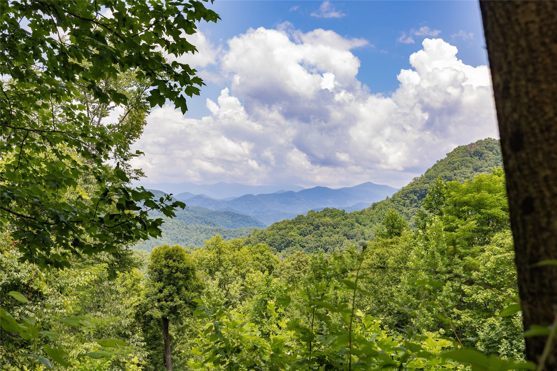 2652 Pilot Knob Road Tuckasegee, NC 28783 - Photo 16 of 33 Gallery Image 16