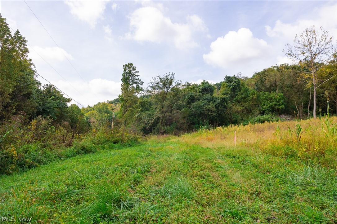 37500 Goose Run Road Dexter City, OH 45727 - Photo 4 of 50 Gallery Image 4