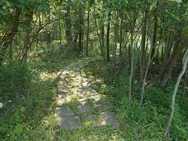 15665 East Moore Road Bailey, MI 49303 - Photo 5 of 24 Additional Photo