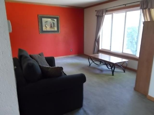 15665 East Moore Road Bailey, MI 49303 - Photo 8 of 24 Additional Photo